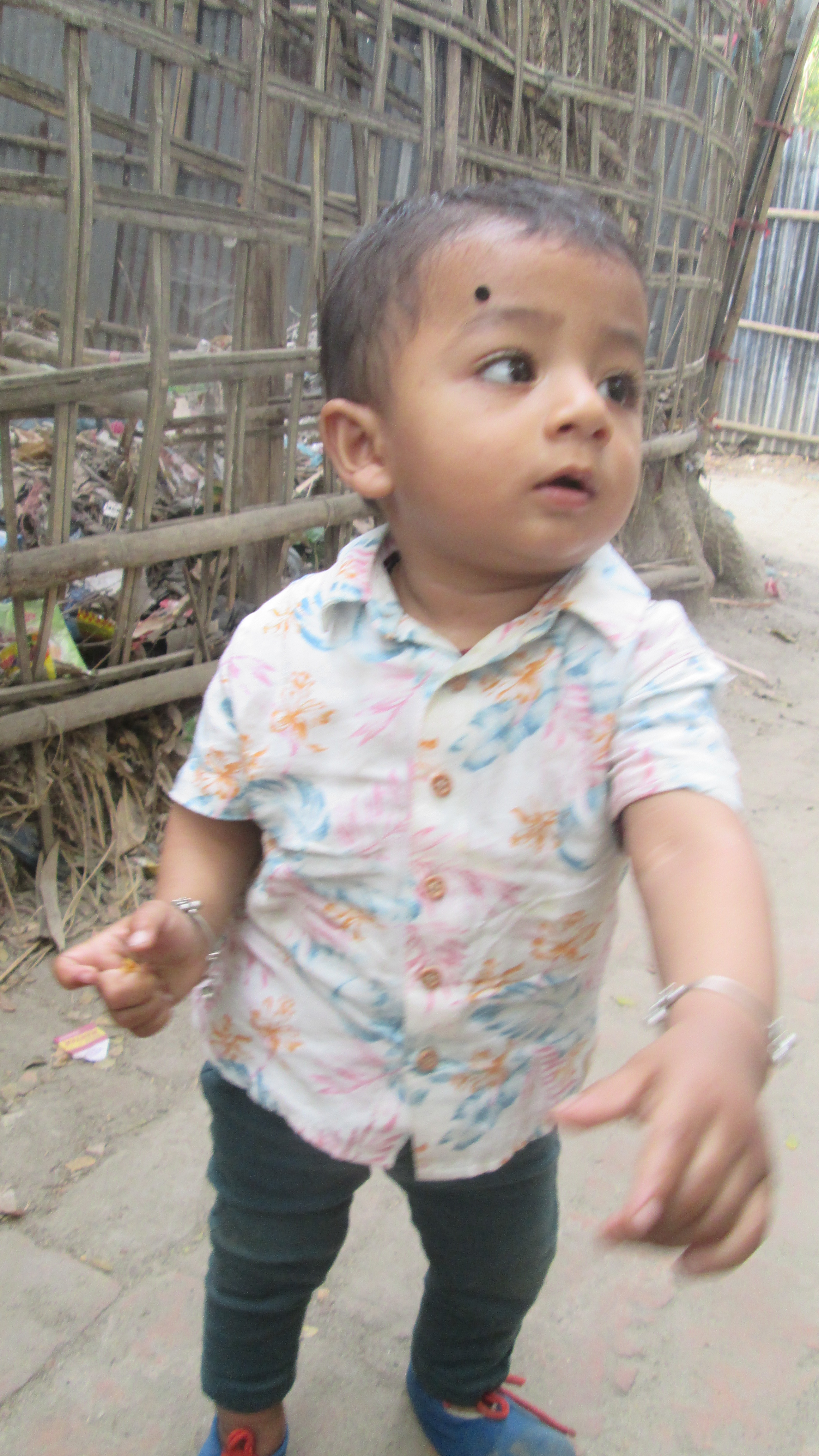 Shayan building with blocks